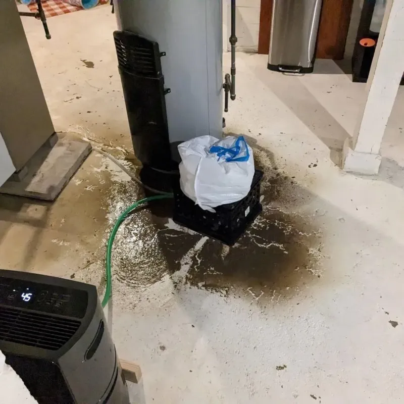 Sewage Backup Cleanup Service in Sciotodale, OH